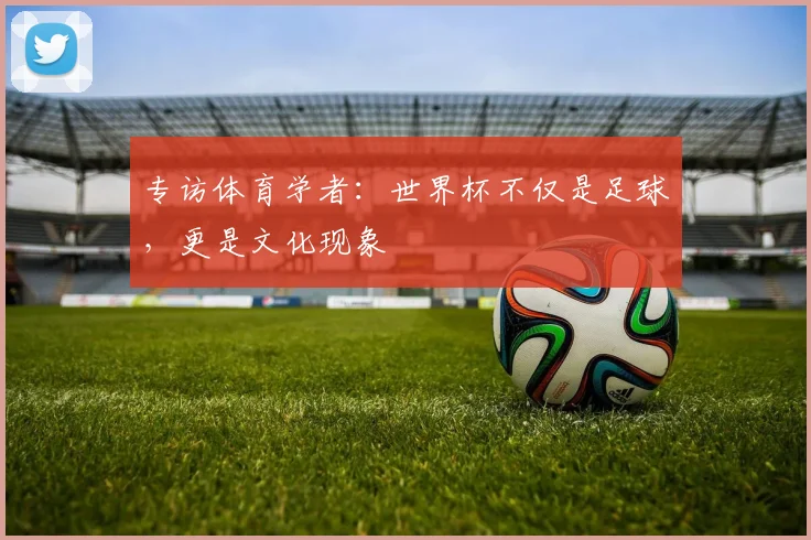 专访体育学者:世界杯不仅是足球,更是文化现象