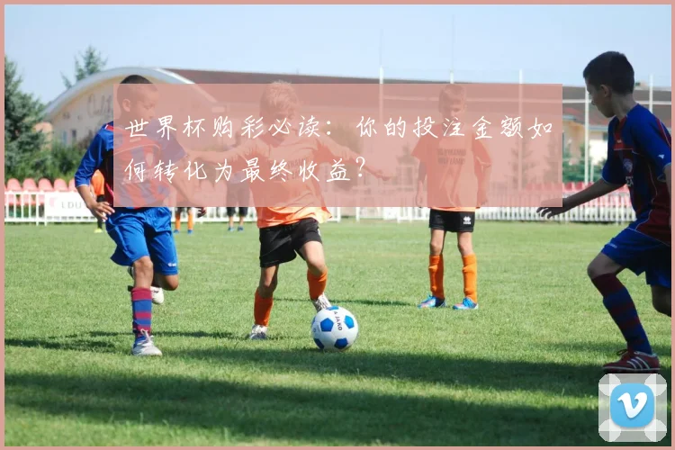 世界杯购彩必读：你的投注金额如何转化为最终收益？