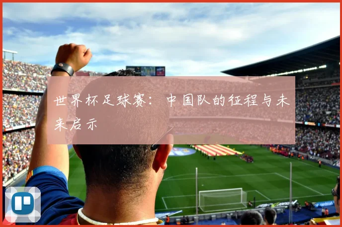 世界杯足球赛：中国队的征程与未来启示