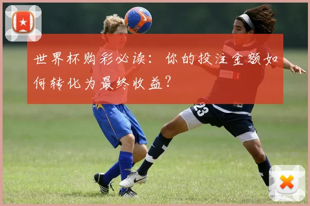 世界杯购彩必读：你的投注金额如何转化为最终收益？