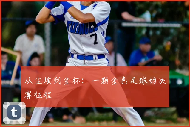 从尘埃到金杯：一颗金色足球的决赛征程