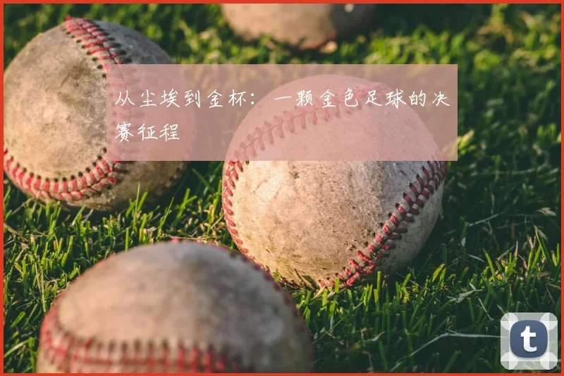 从尘埃到金杯：一颗金色足球的决赛征程
