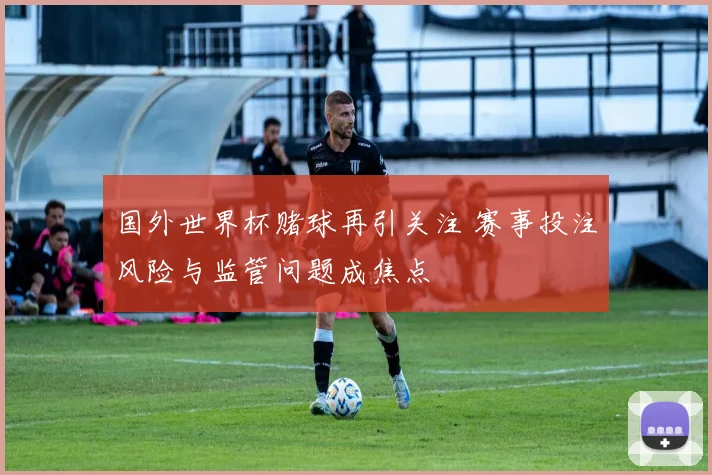 国外世界杯赌球再引关注 赛事投注风险与监管问题成焦点