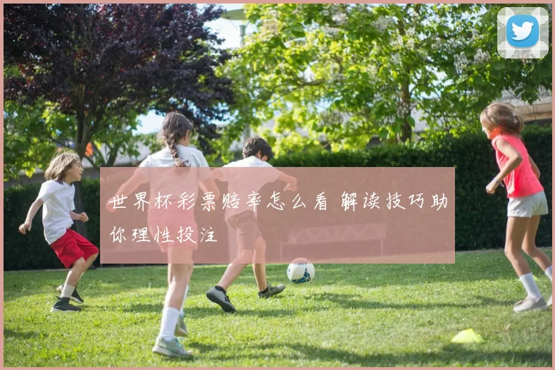 世界杯彩票赔率怎么看 解读技巧助你理性投注