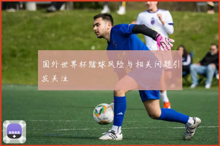 国外世界杯赌球风险与相关问题引发关注