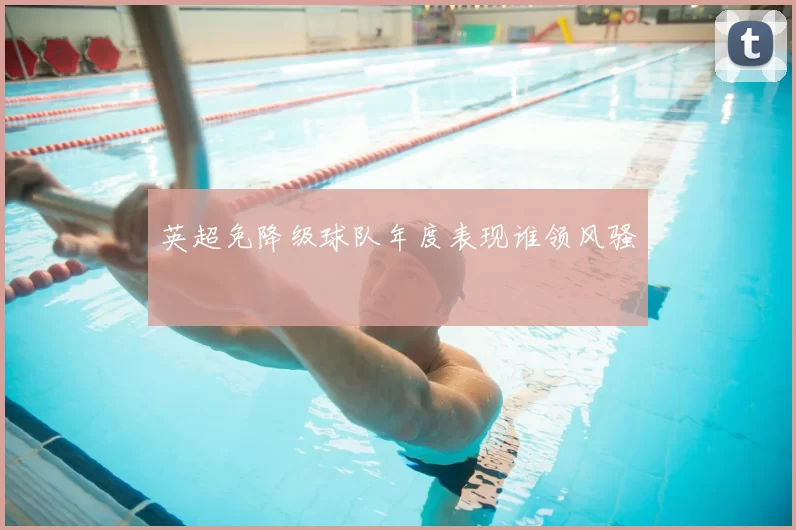 英超免降级球队年度表现谁领风骚