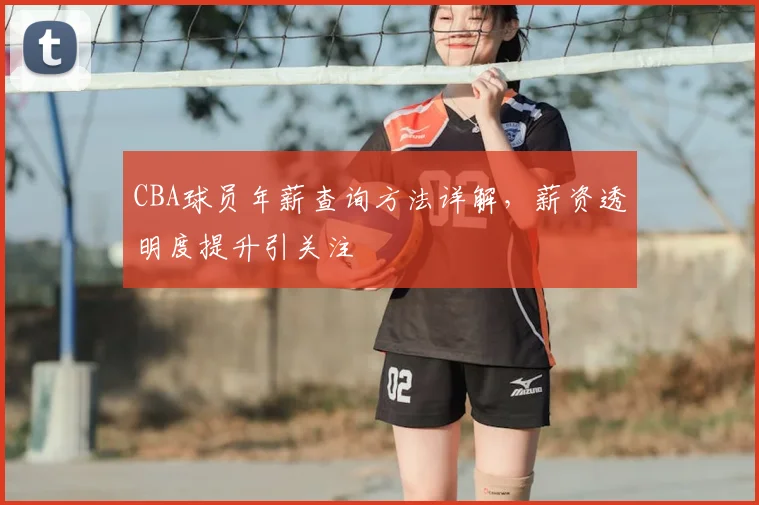 CBA球员年薪查询方法详解，薪资透明度提升引关注