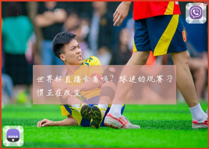 世界杯直播会看吗？球迷的观赛习惯正在改变