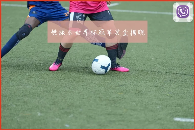 樊振东世界杯冠军奖金揭晓