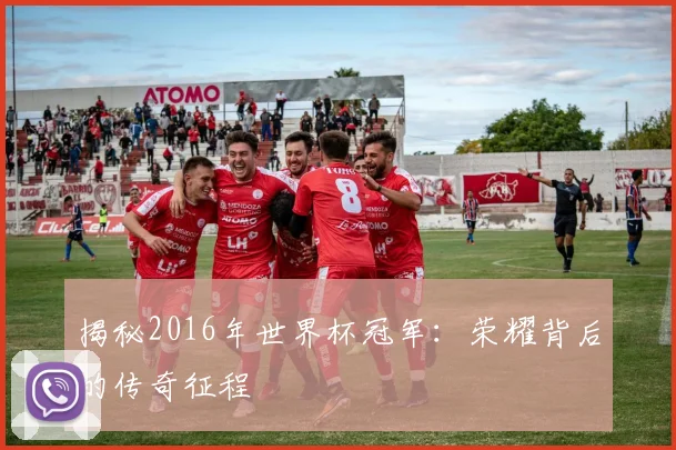 揭秘2016年世界杯冠军：荣耀背后的传奇征程
